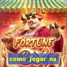 como jogar na lotinha do jogo do bicho